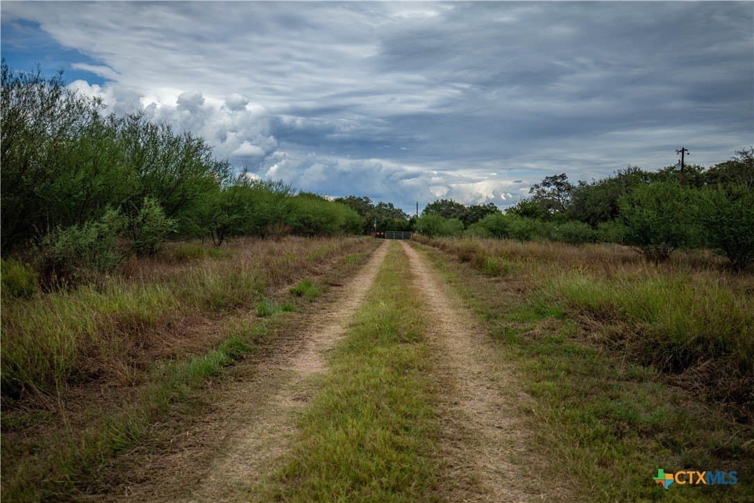 408.33 acres in DeWitt County - photo 25