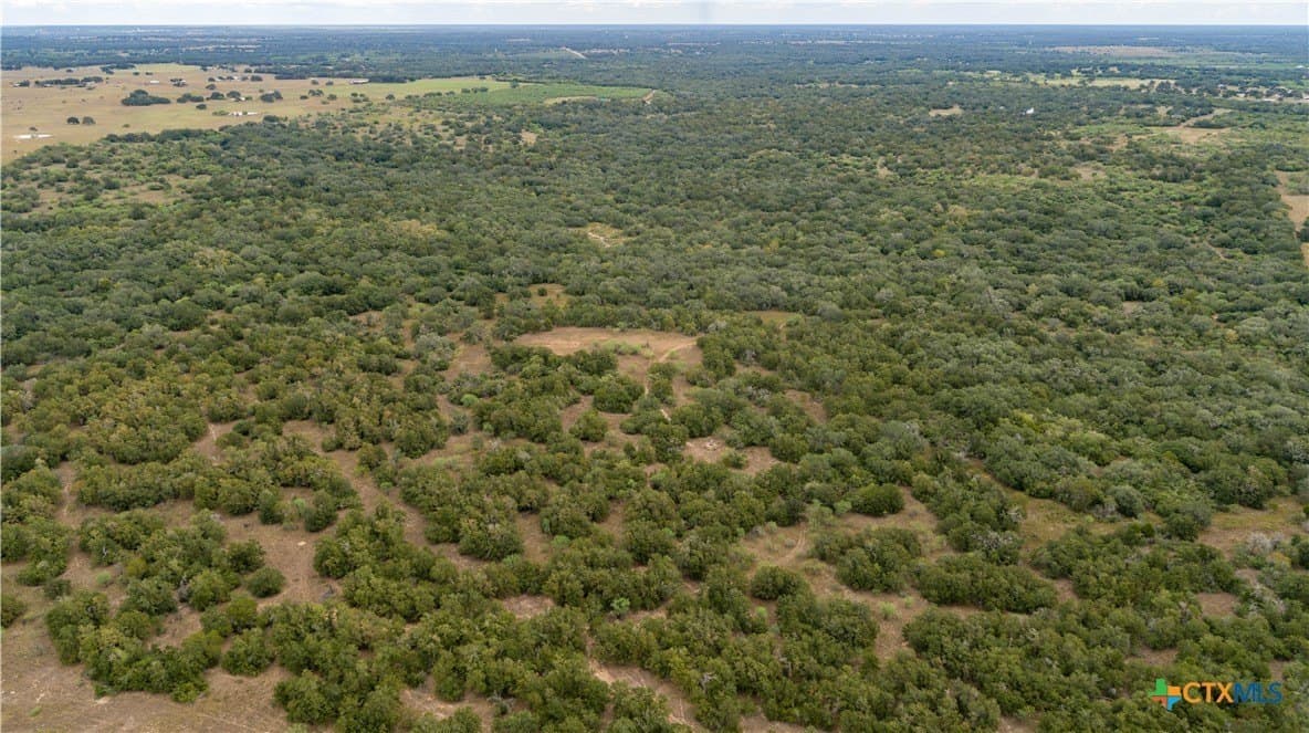 408.33 acres in DeWitt County - photo 7