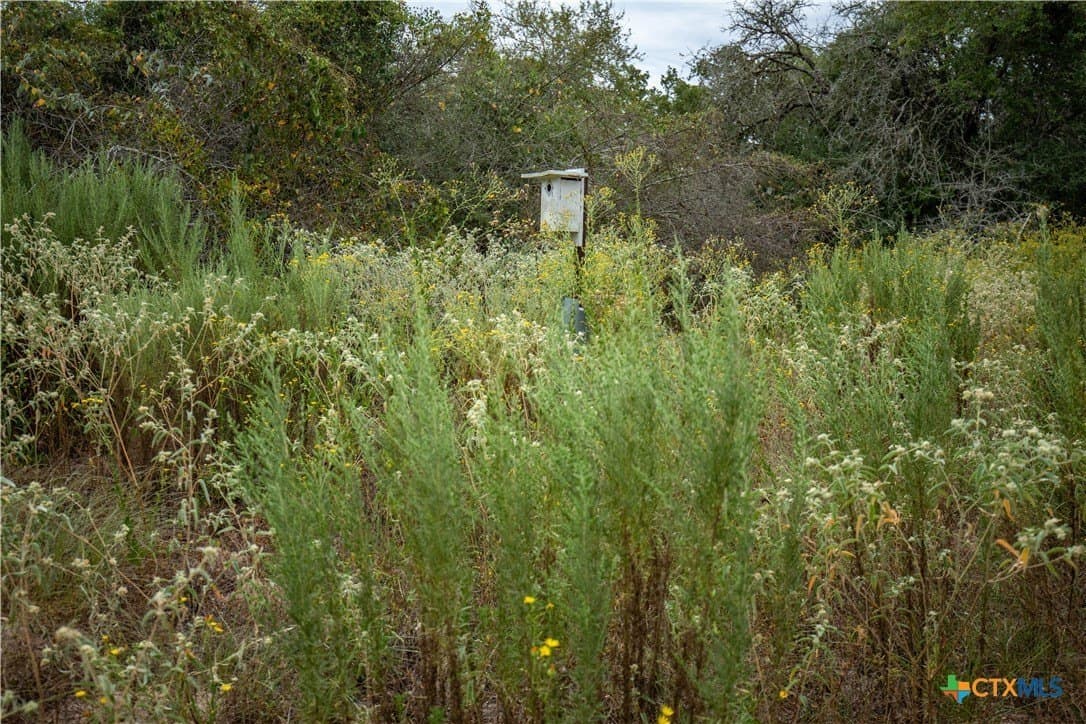408.33 acres in DeWitt County - photo 13