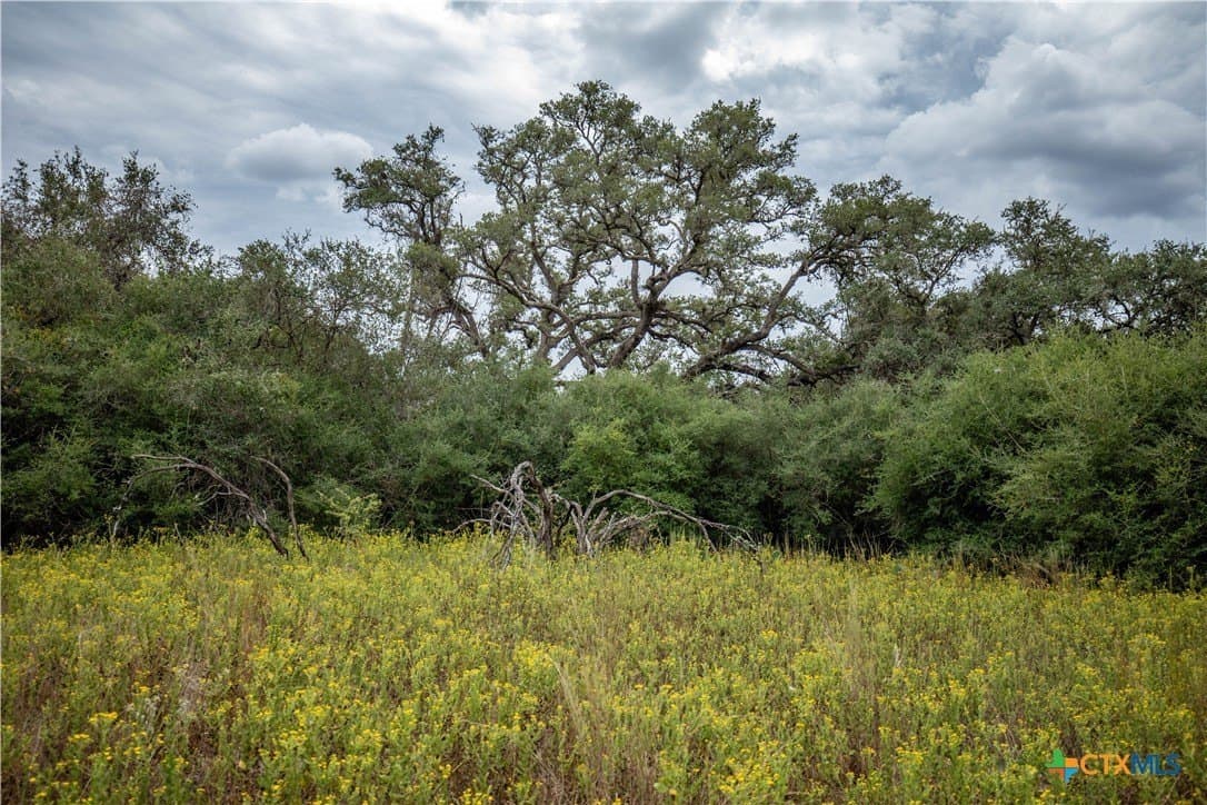 408.33 acres in DeWitt County - photo 29