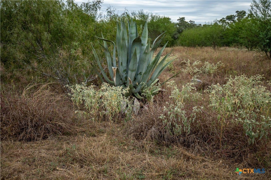408.33 acres in DeWitt County - photo 14