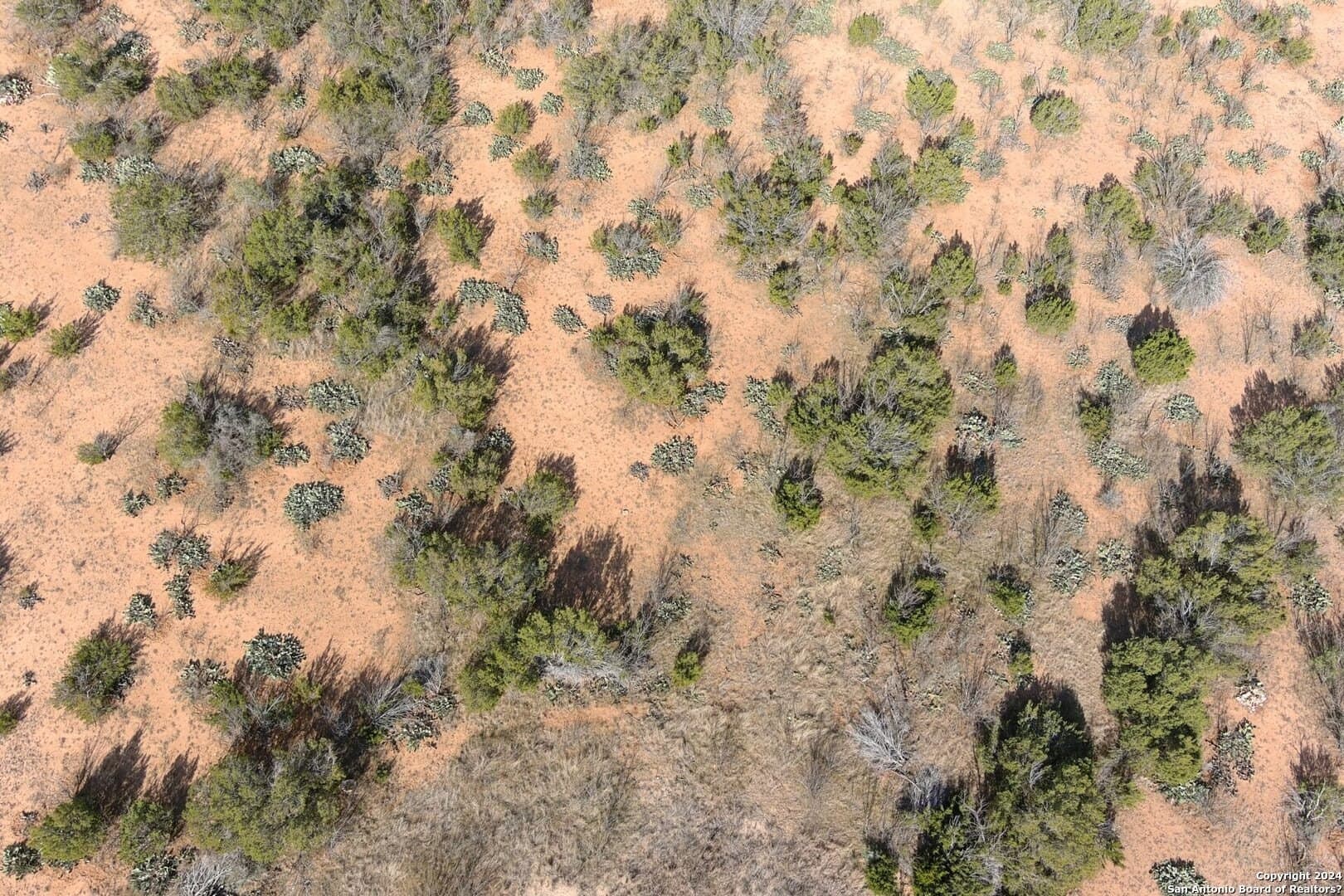 106 acres in Coke County - photo 26
