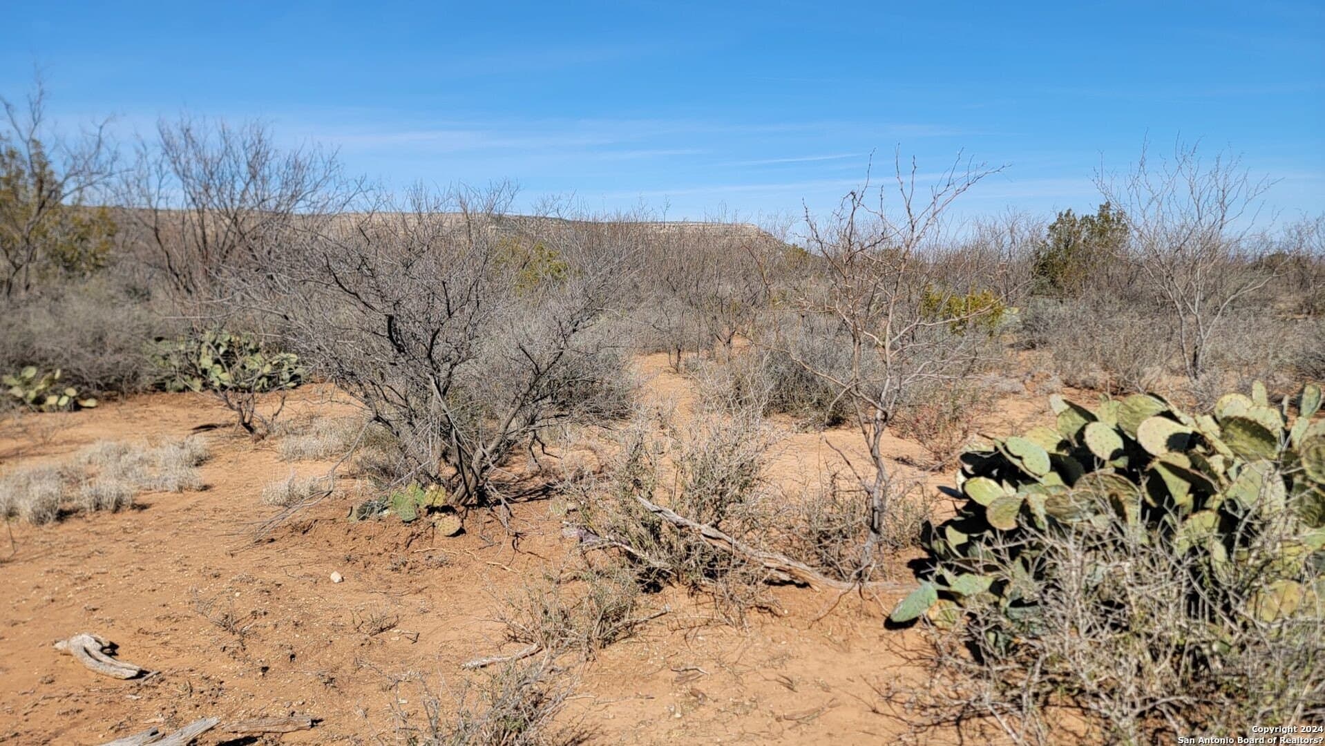 106 acres in Coke County - photo 6