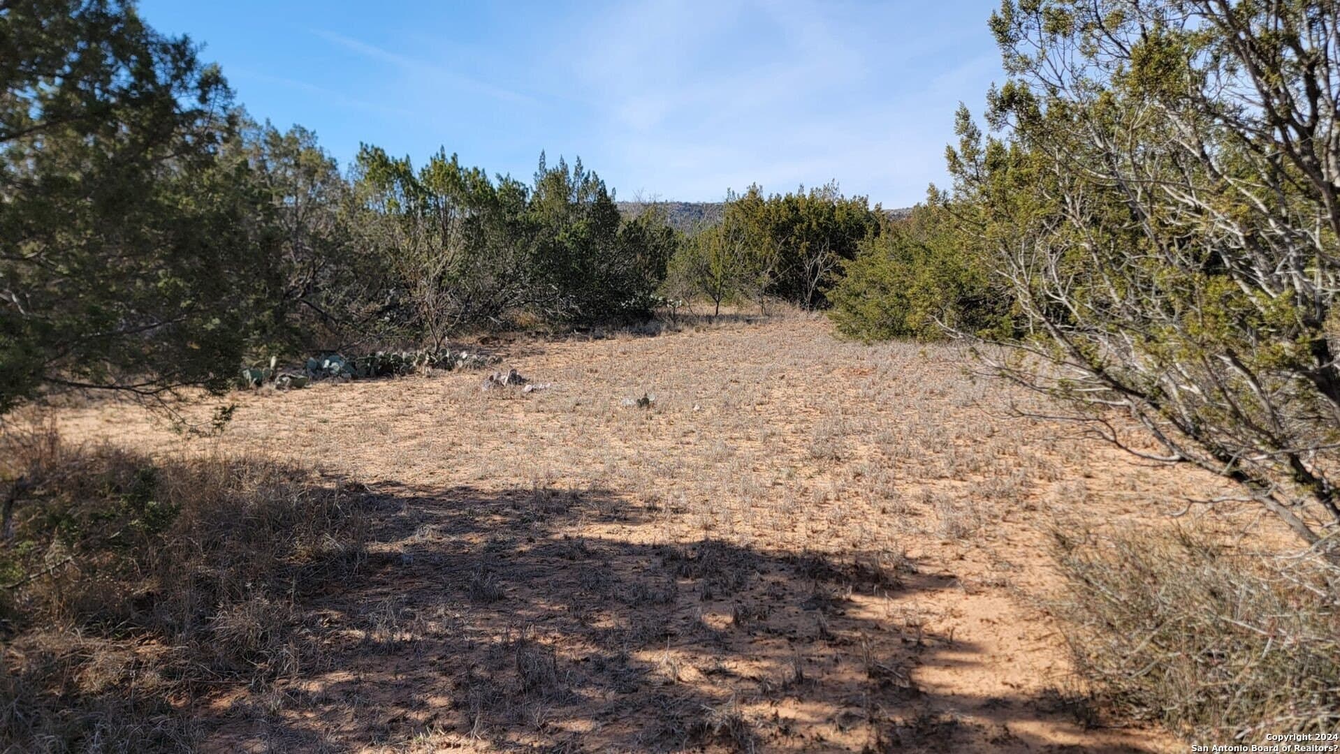 106 acres in Coke County - photo 27