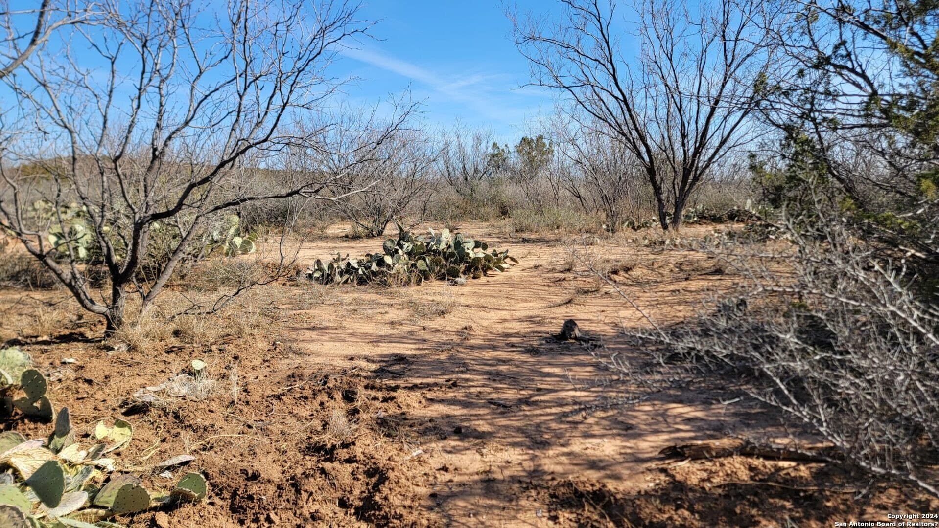 106 acres in Coke County - photo 5