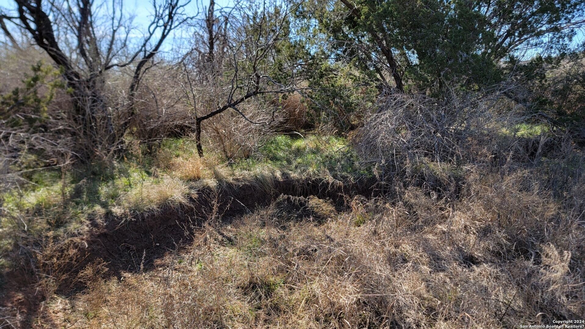 106 acres in Coke County - photo 9