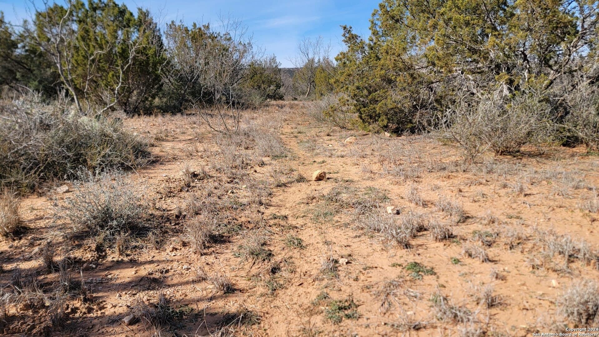 106 acres in Coke County - photo 11