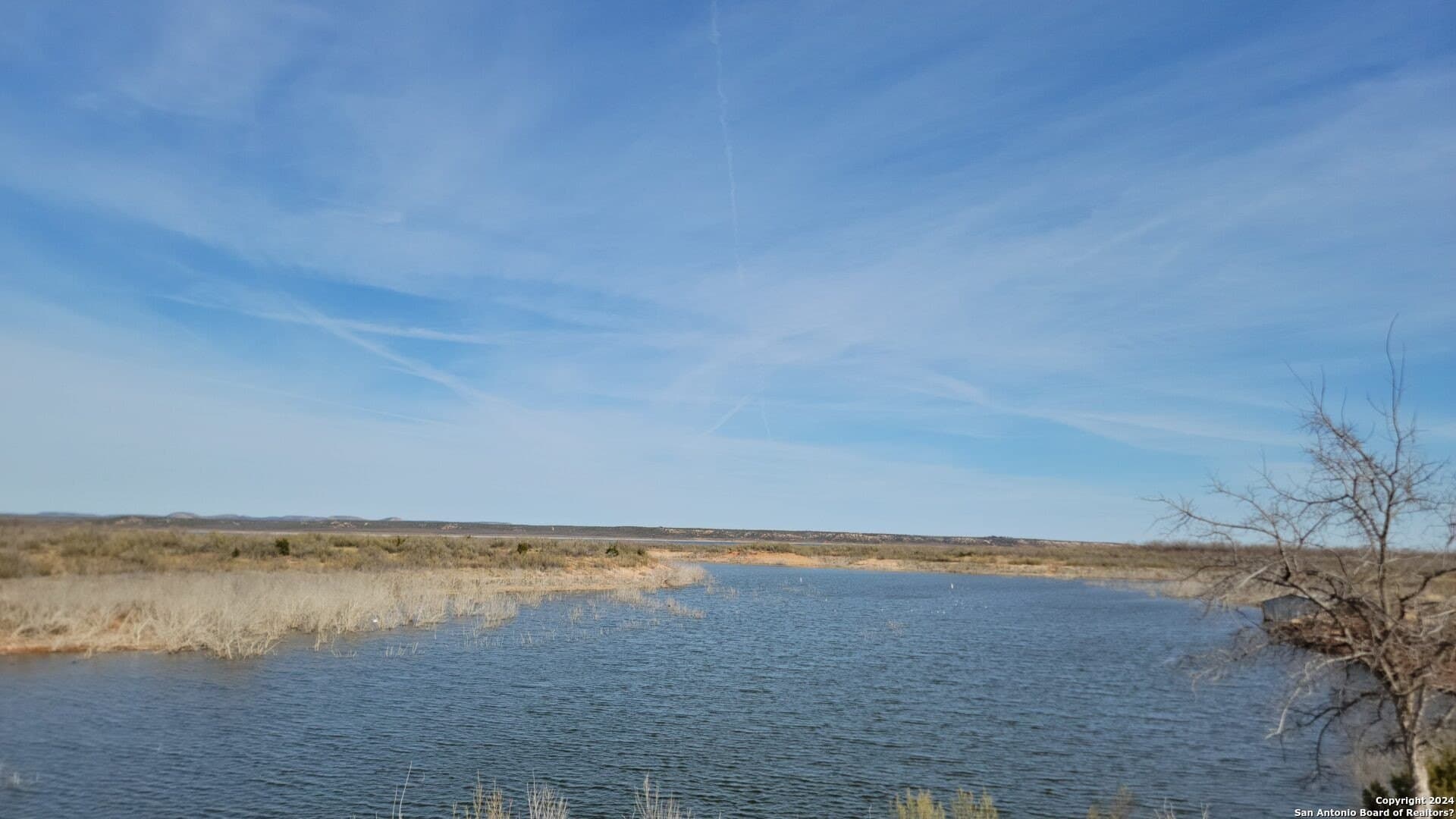 106 acres in Coke County - photo 21