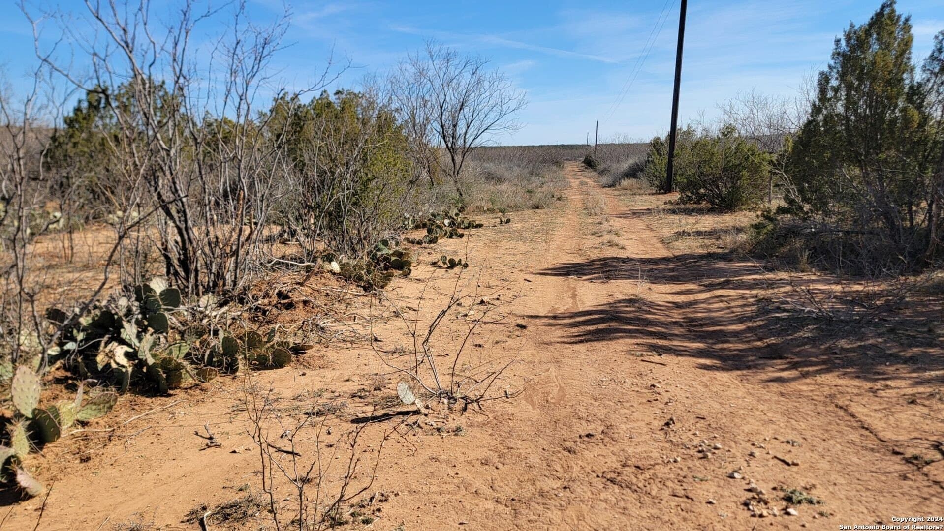 106 acres in Coke County - photo 4