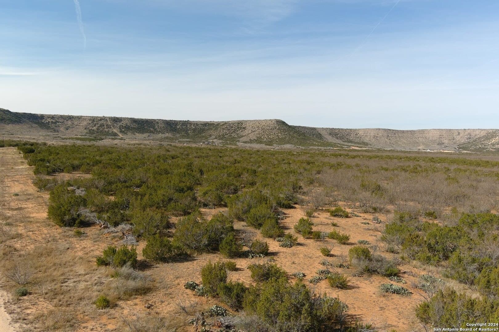 106 acres in Coke County - photo 20
