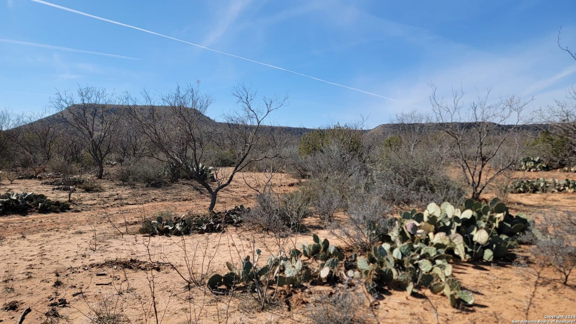 106 acres in Coke County - photo 13