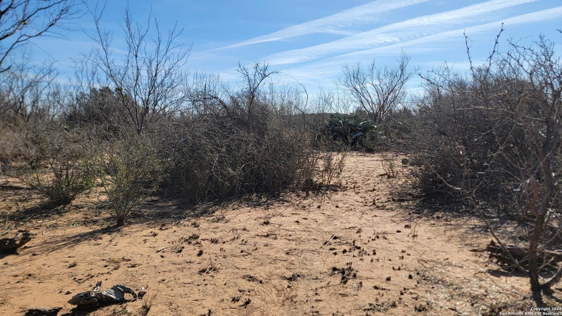 106 acres in Coke County - photo 7