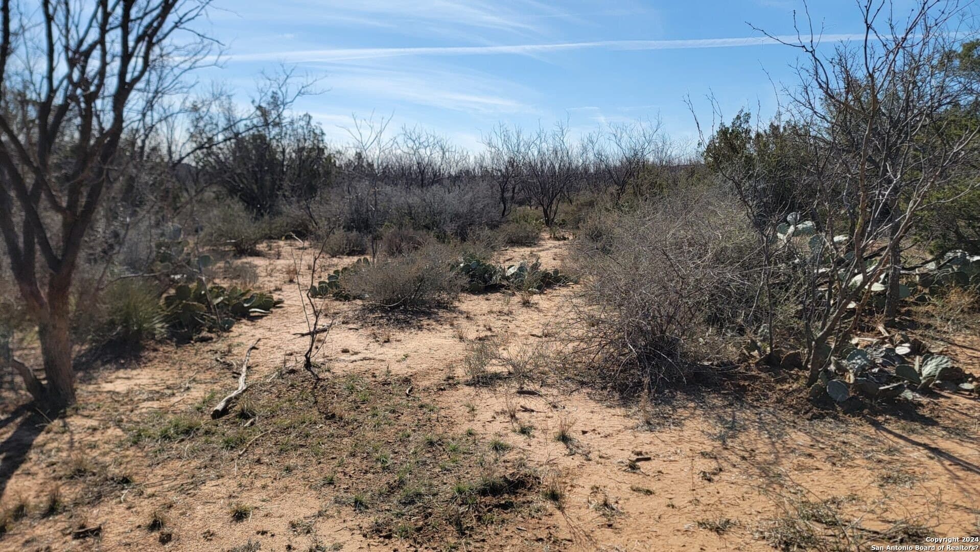 106 acres in Coke County - photo 25