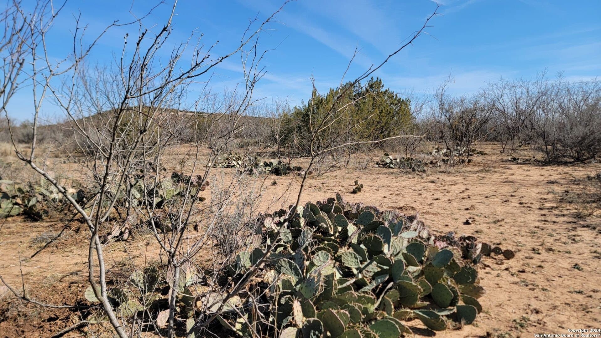 106 acres in Coke County - photo 8