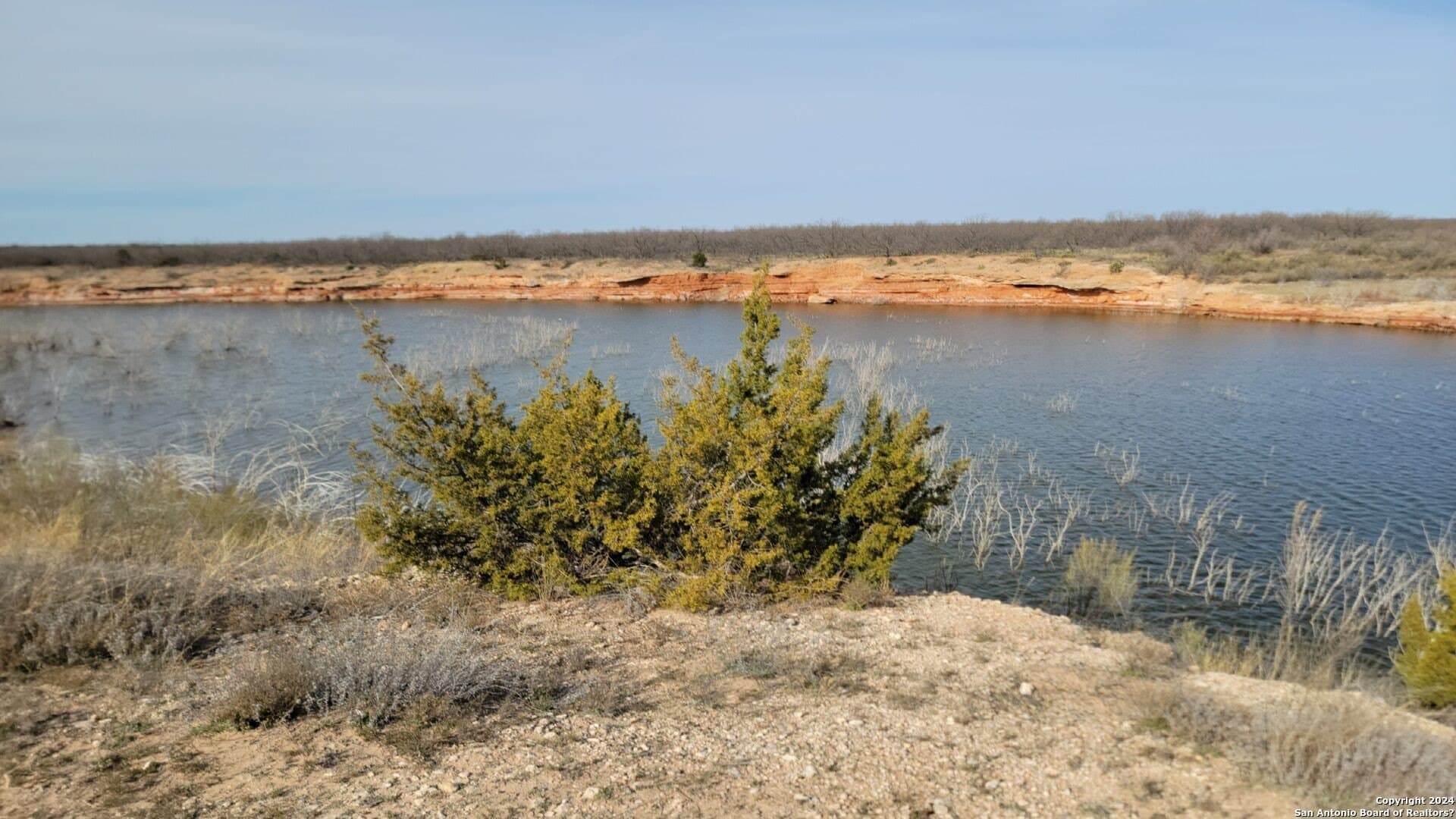 106 acres in Coke County - photo 31