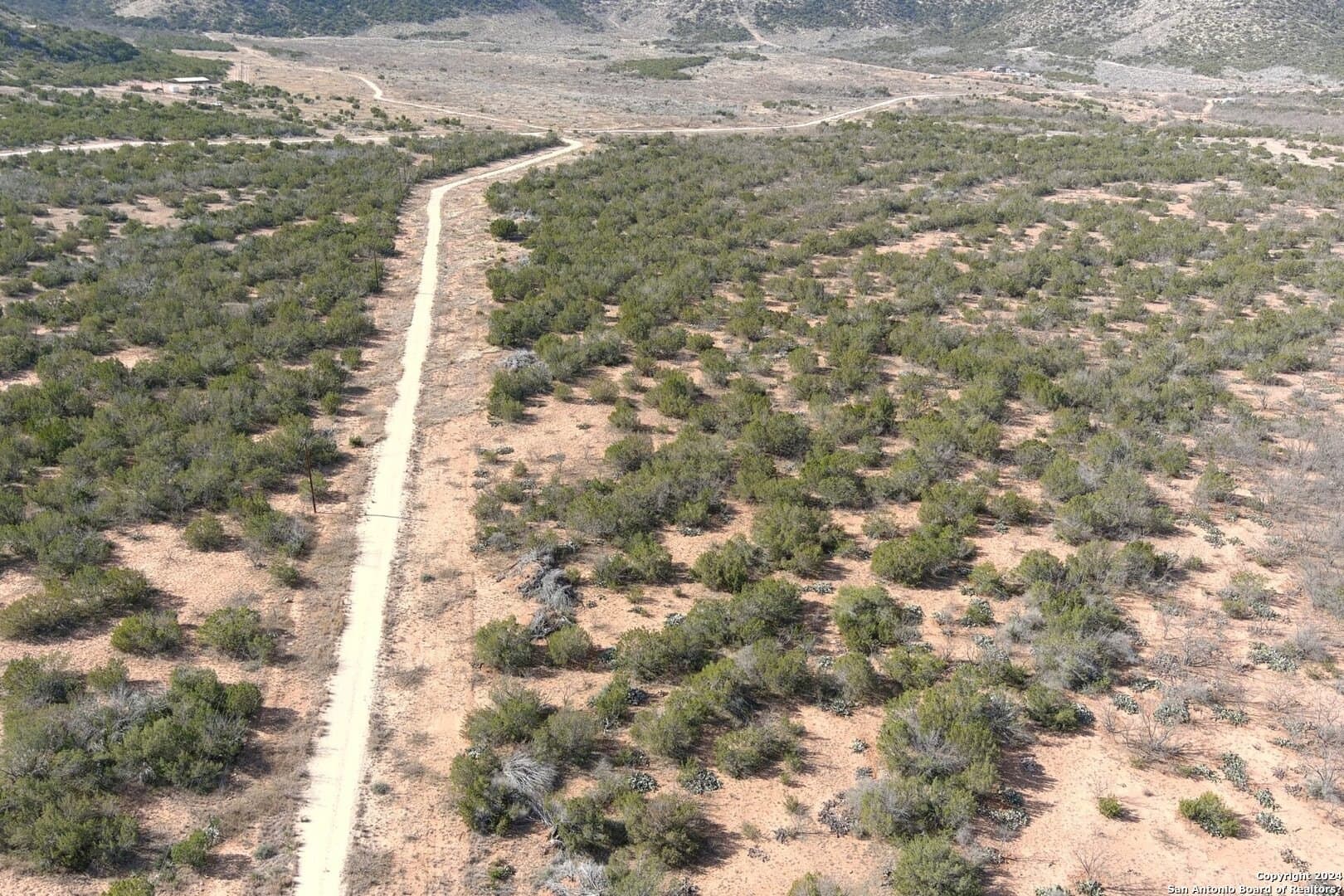 106 acres in Coke County - photo 28