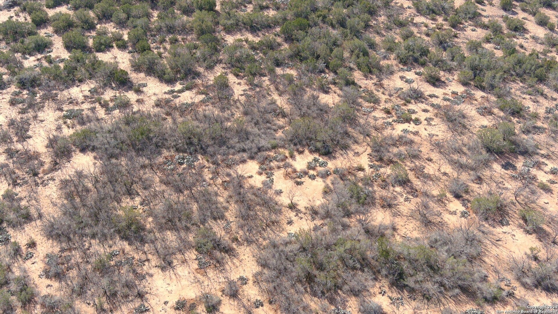 106 acres in Coke County - photo 24
