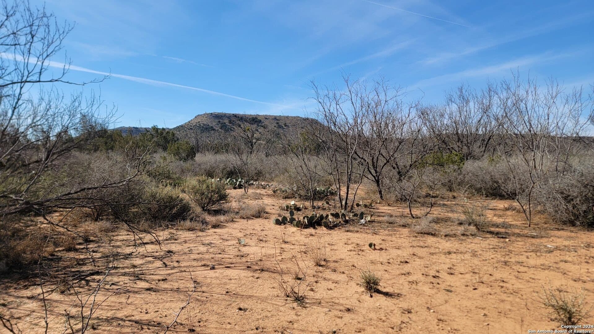 106 acres in Coke County - photo 10