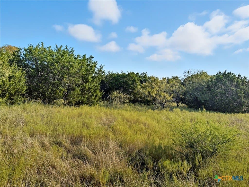 10.01 acres in Hamilton County - photo 4