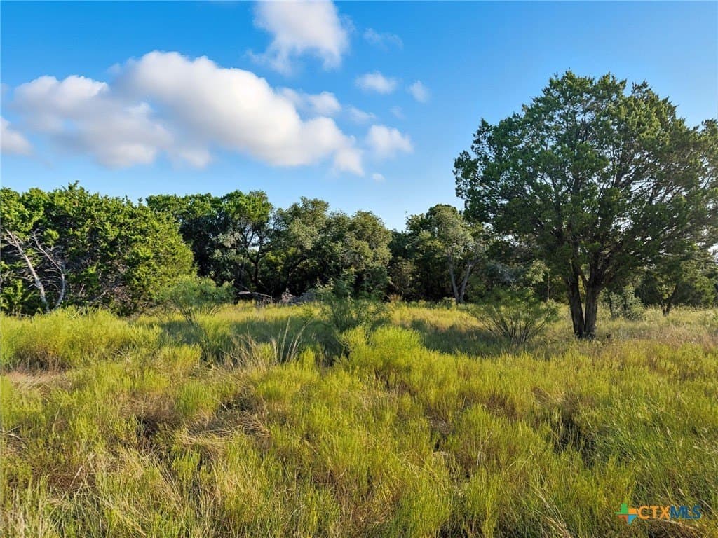 10.01 acres in Hamilton County - photo 5