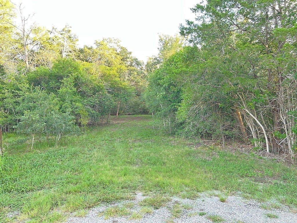 0.73 acres in Bastrop County - photo 6