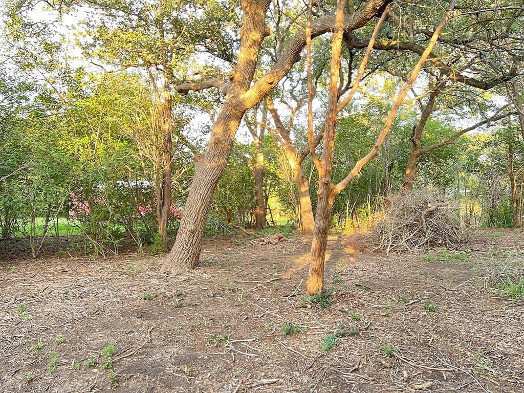 0.73 acres in Bastrop County - photo 5