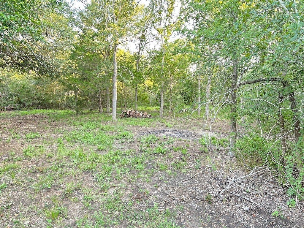 0.73 acres in Bastrop County - photo 8
