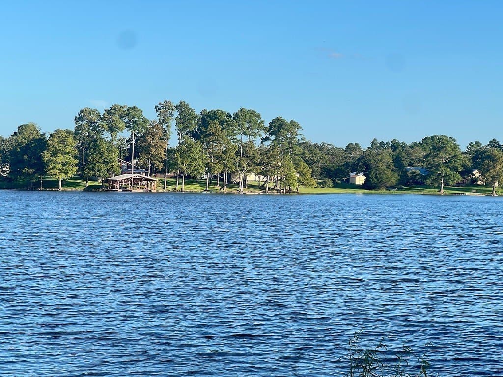 0.73 acres in Bastrop County - photo 15