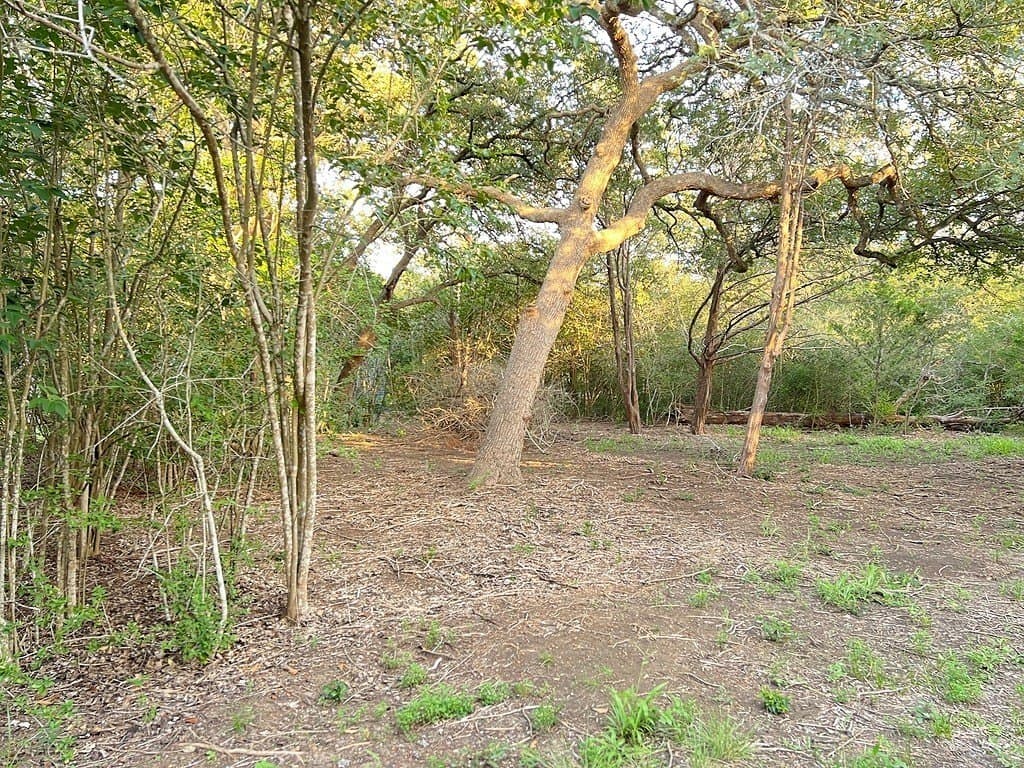 0.73 acres in Bastrop County - photo 7