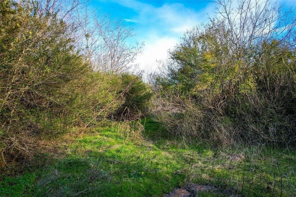 1.11 acres in Dallas County - photo 3