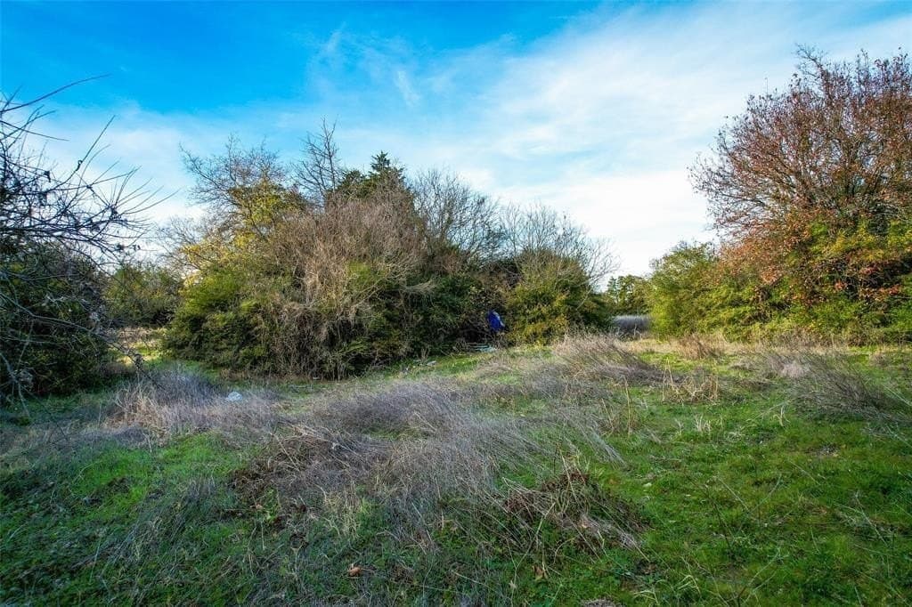 1.11 acres in Dallas County - photo 2