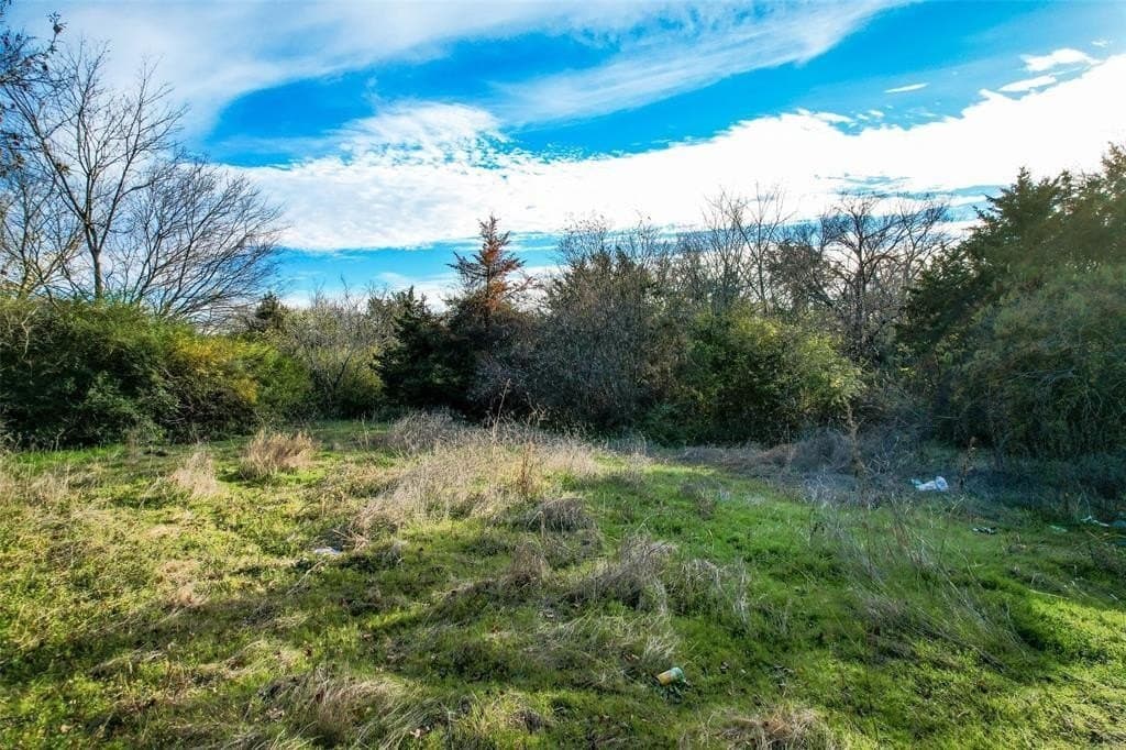 1.11 acres in Dallas County - photo 4