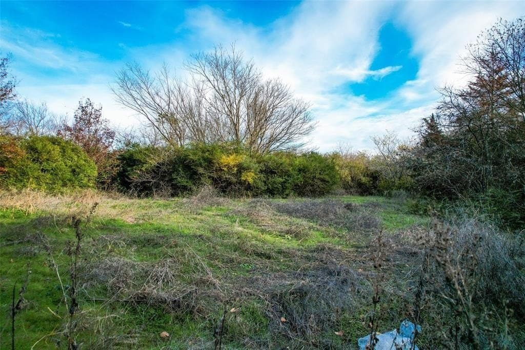 1.11 acres in Dallas County - photo 5