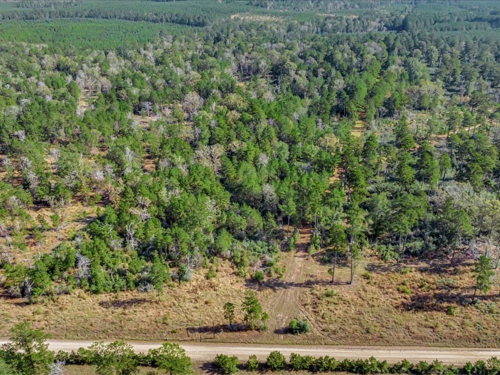 45 acres in Texas County - photo 5