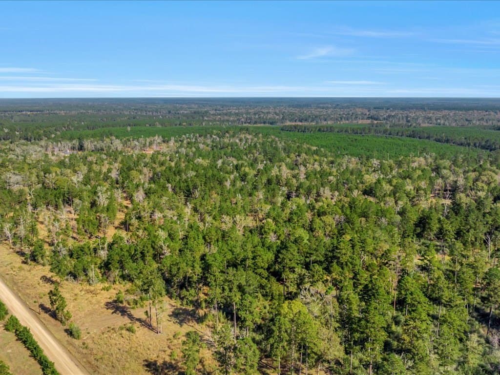 45 acres in Texas County - photo 14