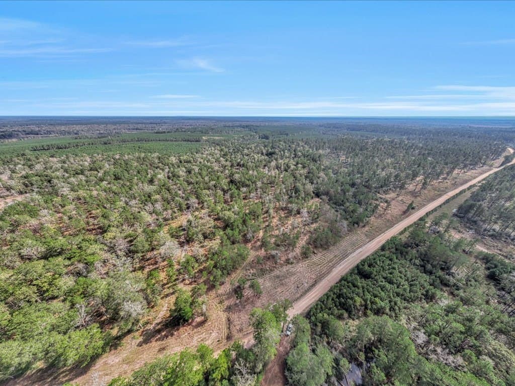 45 acres in Texas County - photo 2