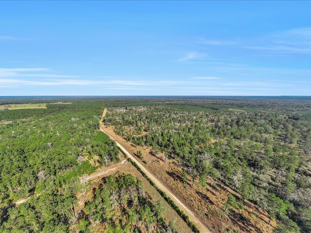 45 acres in Texas County - photo 6