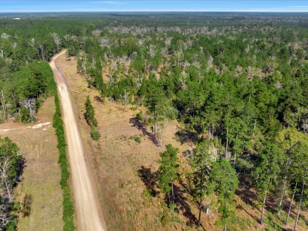 45 acres in Texas County - photo 16