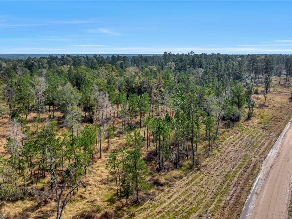 45 acres in Texas County - photo 7