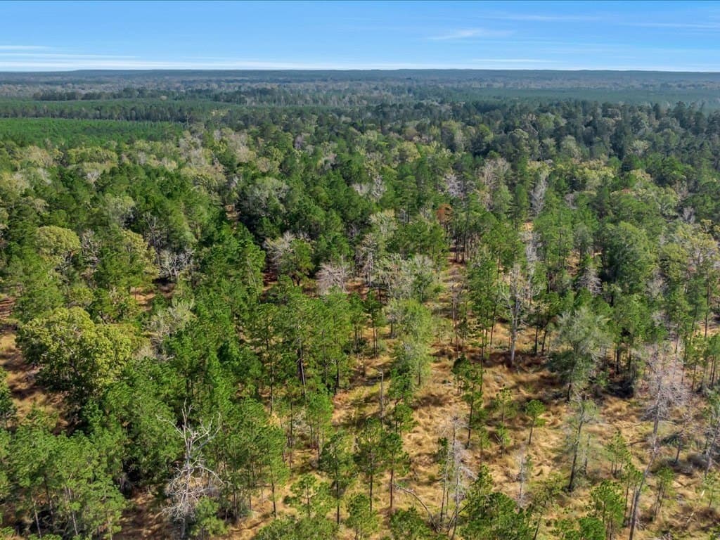 45 acres in Texas County - photo 9