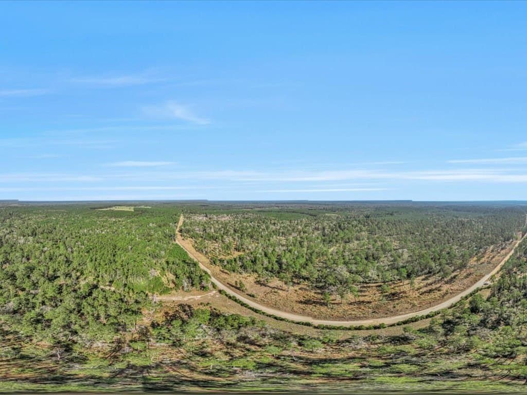 45 acres in Texas County - photo 13