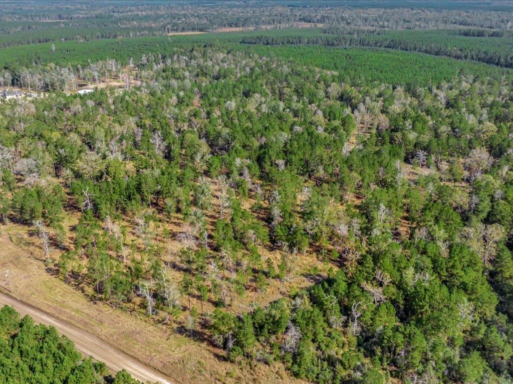 45 acres in Texas County - photo 11