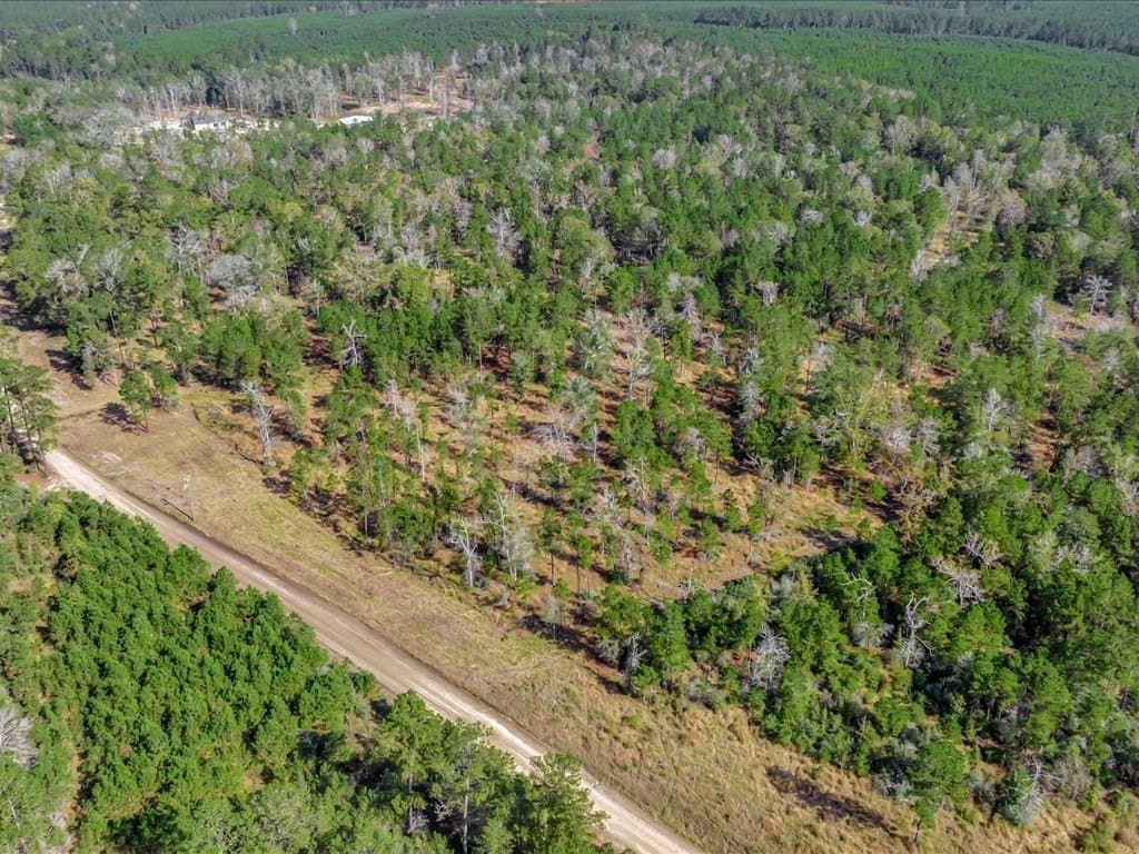 45 acres in Texas County - photo 8