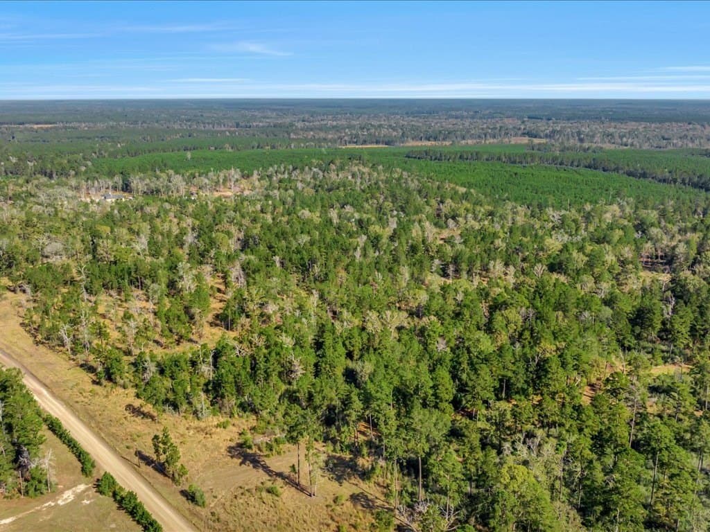45 acres in Texas County - photo 4