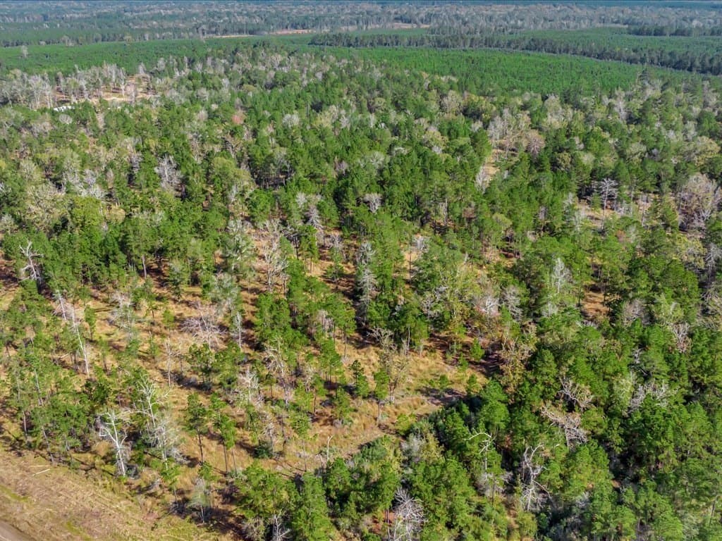 45 acres in Texas County - photo 10