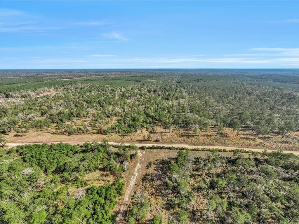 45 acres in Texas County - photo 17