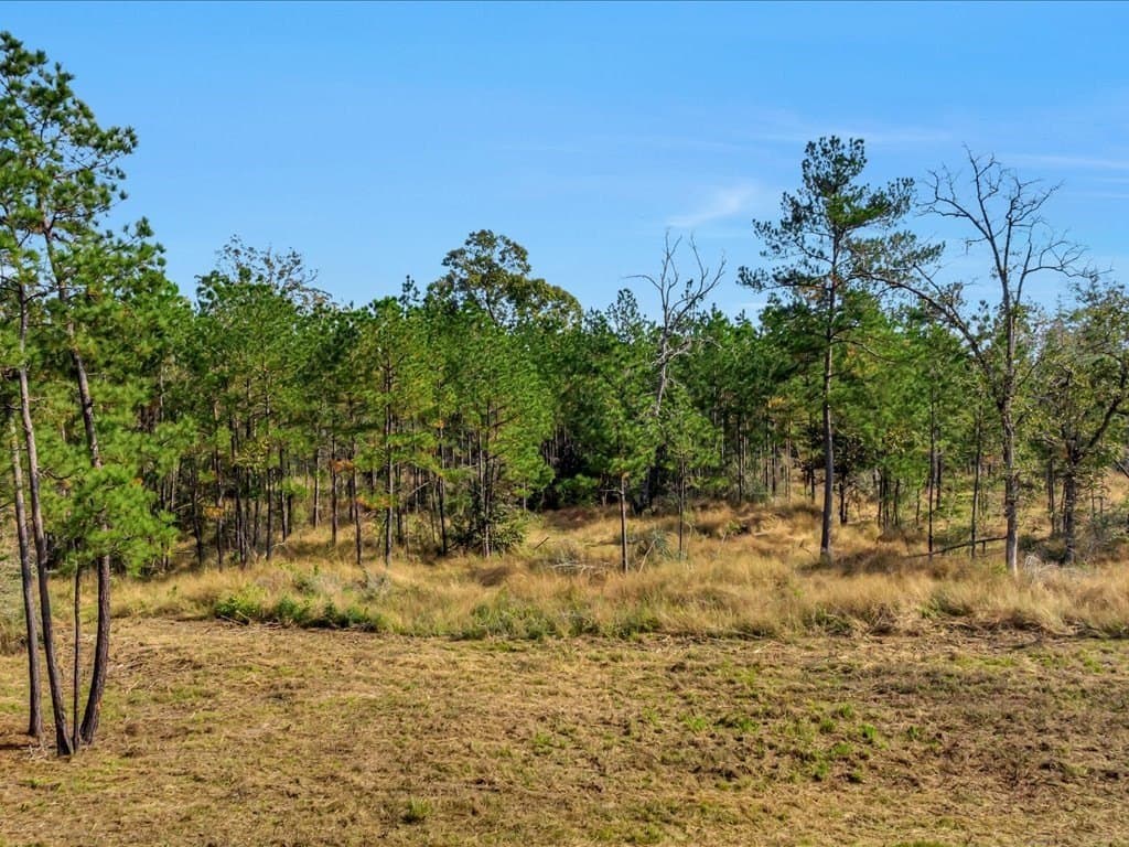 45 acres in Texas County - photo 3