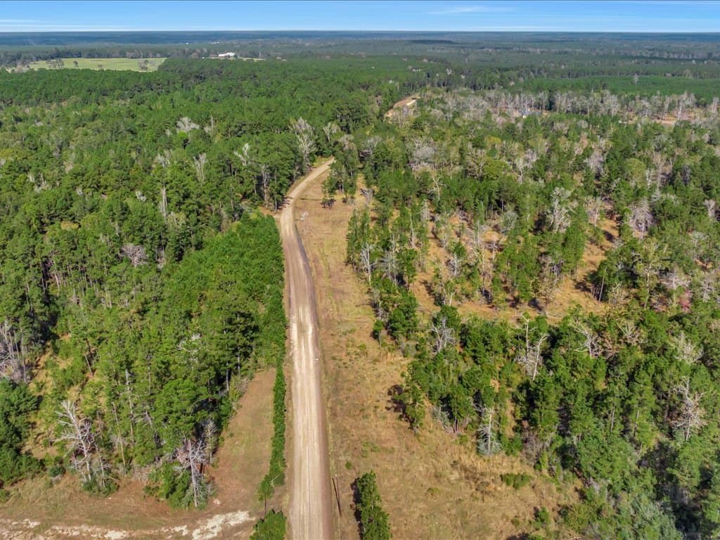 45 acres in Texas County - photo 15