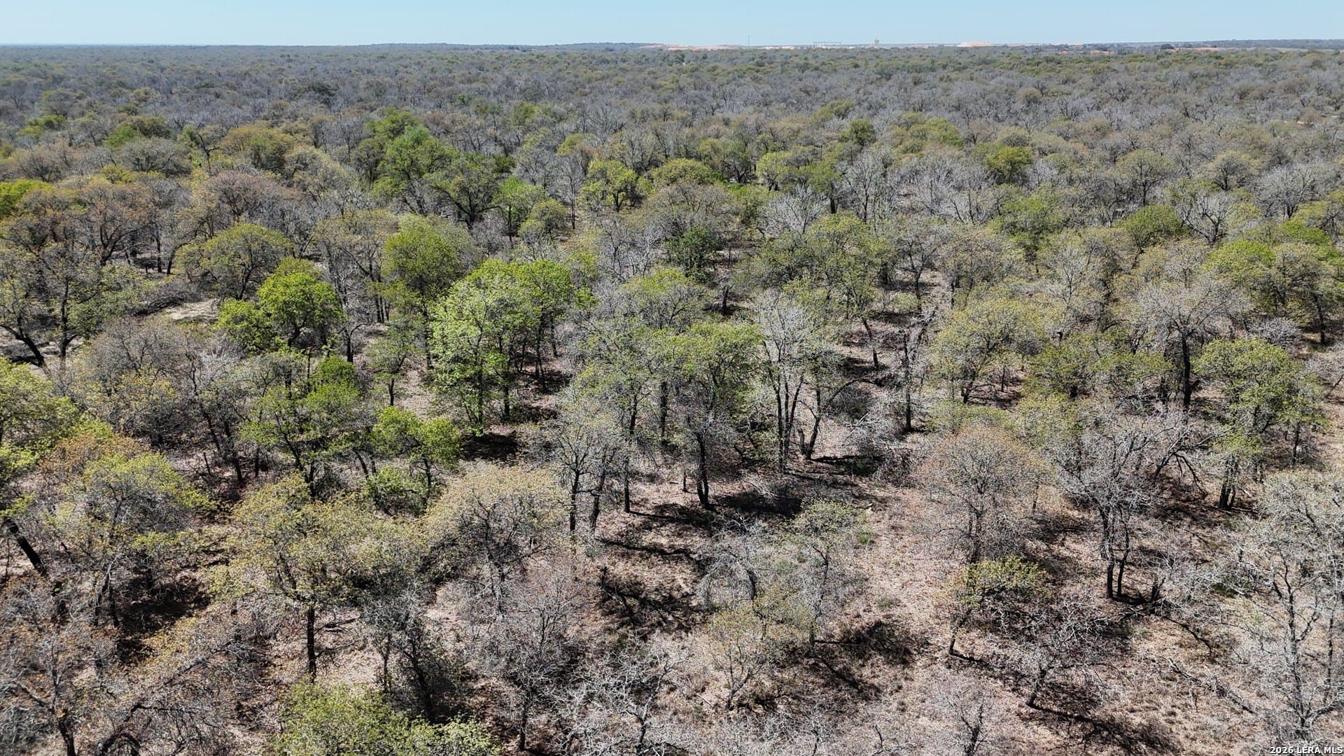 10.16 acres in Atascosa County - photo 4