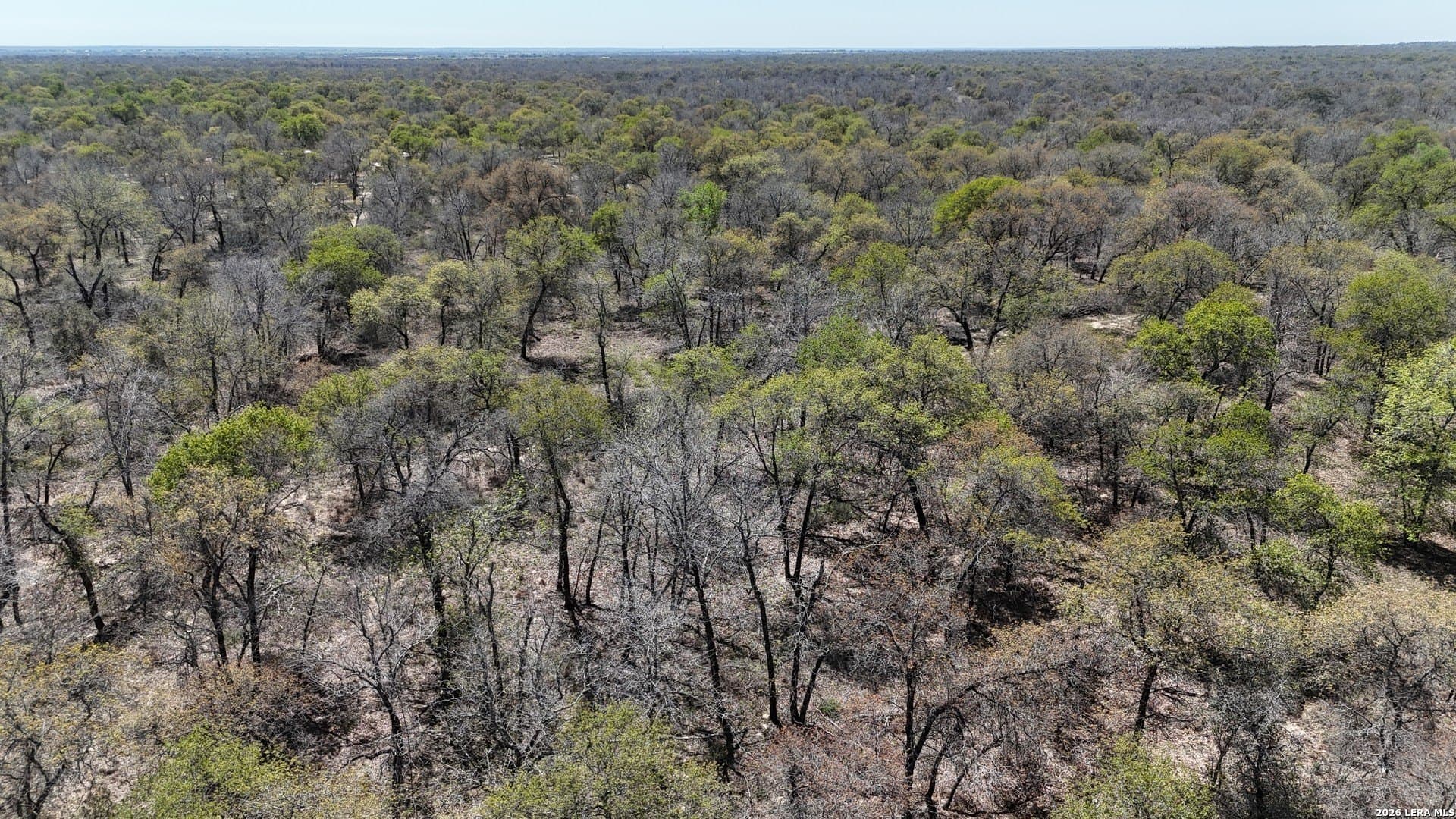 10.16 acres in Atascosa County - photo 5